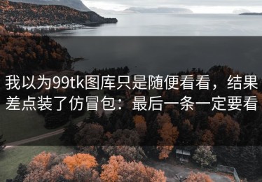 我以为99tk图库只是随便看看，结果差点装了仿冒包：最后一条一定要看