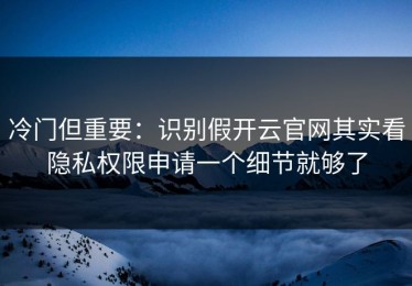 冷门但重要：识别假开云官网其实看隐私权限申请一个细节就够了
