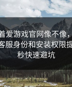 别只盯着爱游戏官网像不像，真正要看的是客服身份和安装权限提示：10秒快速避坑
