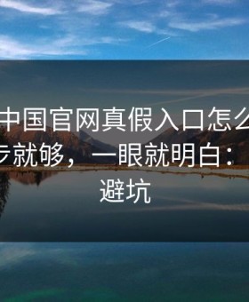 kaiyun中国官网真假入口怎么分？我做了两步就够，一眼就明白：5个快速避坑