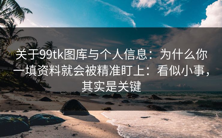 关于99tk图库与个人信息：为什么你一填资料就会被精准盯上：看似小事，其实是关键