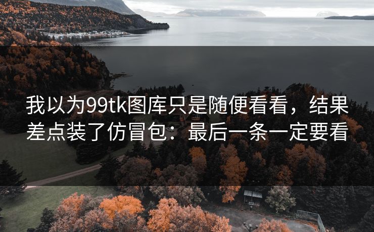 我以为99tk图库只是随便看看，结果差点装了仿冒包：最后一条一定要看